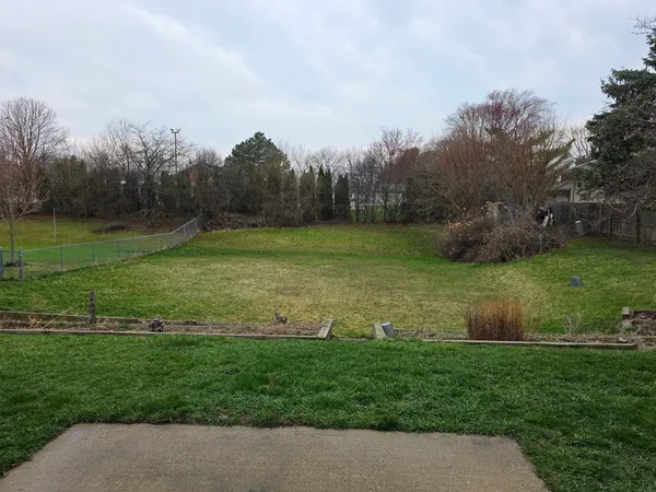 a view of a field with grass