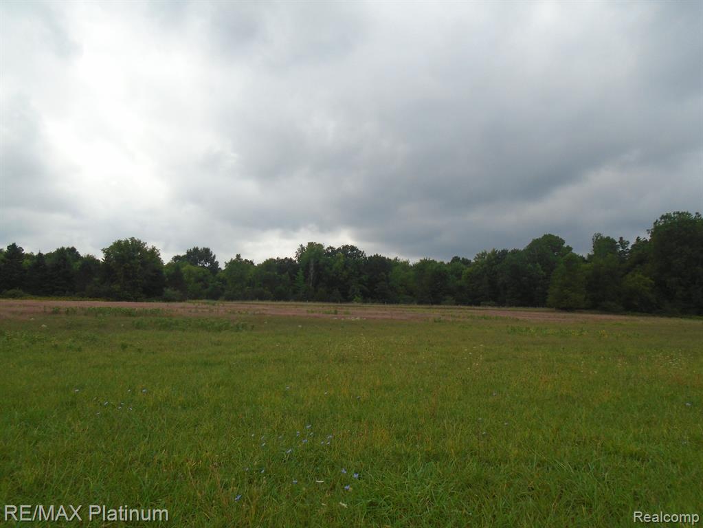 V/l Lannen Road Howell, MI 48855 - Photo 6 of 8