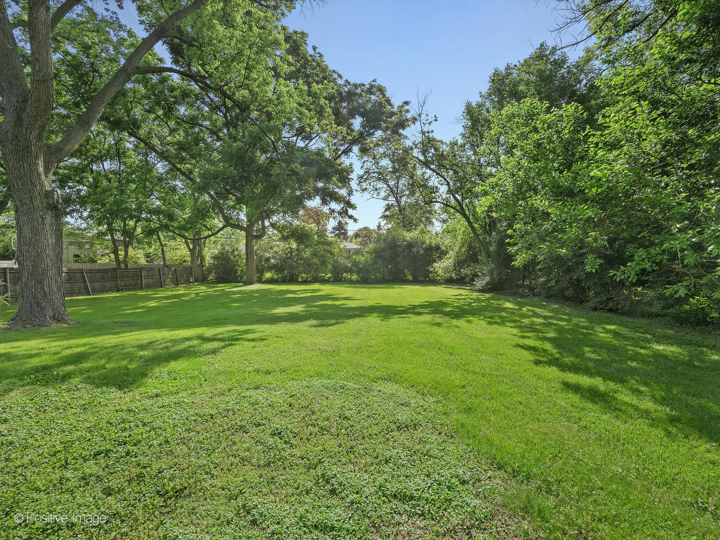 241 Coe Road Clarendon Hills, IL 60514 - Photo 3 of 9 a view of green field with trees in the background