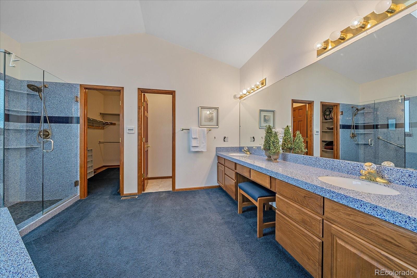9875 Spring Hill Street Highlands Ranch, CO 80129 - Photo 19 of 38 a spacious bathroom with a granite countertop sink and a mirror