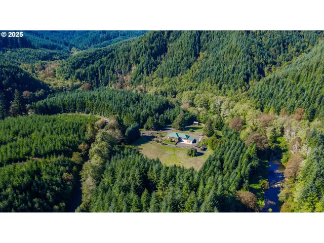 a open area with lots of green bushes