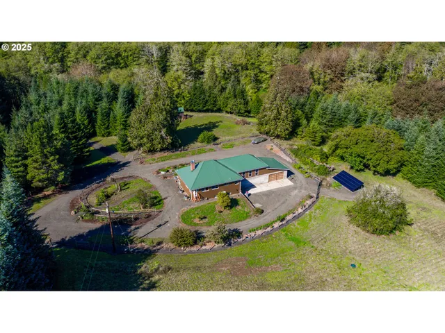a black and white photo of a garden