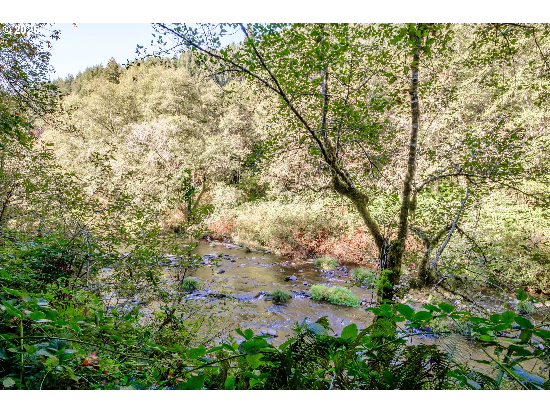 9602 Harlan Road Eddyville, OR 97343 - Photo 35 of 48 a backyard of a house with lots of green space