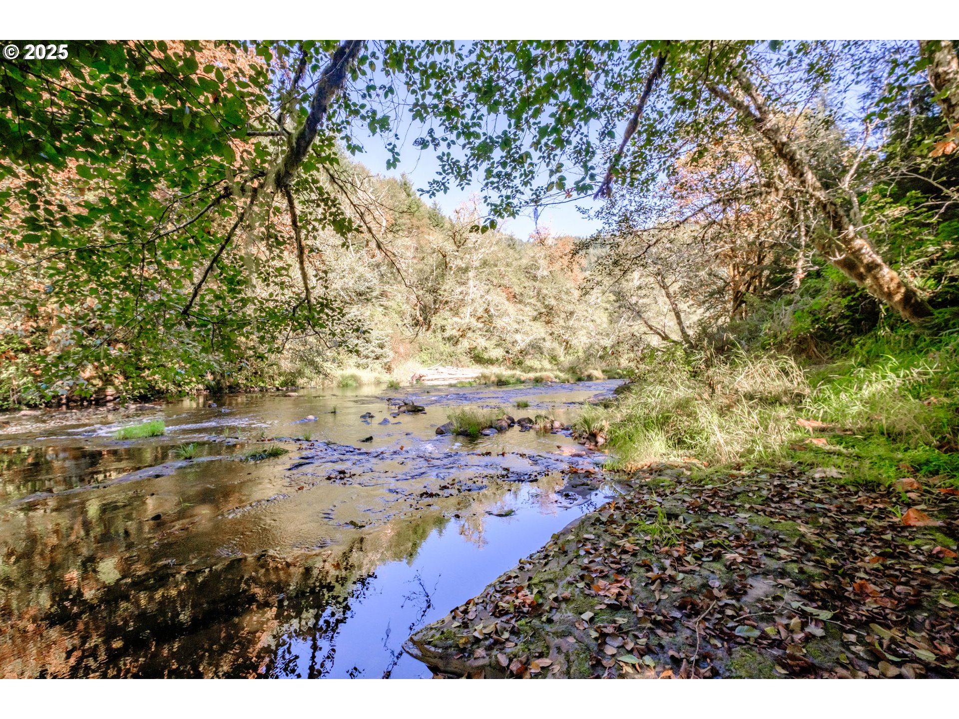 9602 Harlan Road Eddyville, OR 97343 - Photo 37 of 48 a view of lake with outdoor space