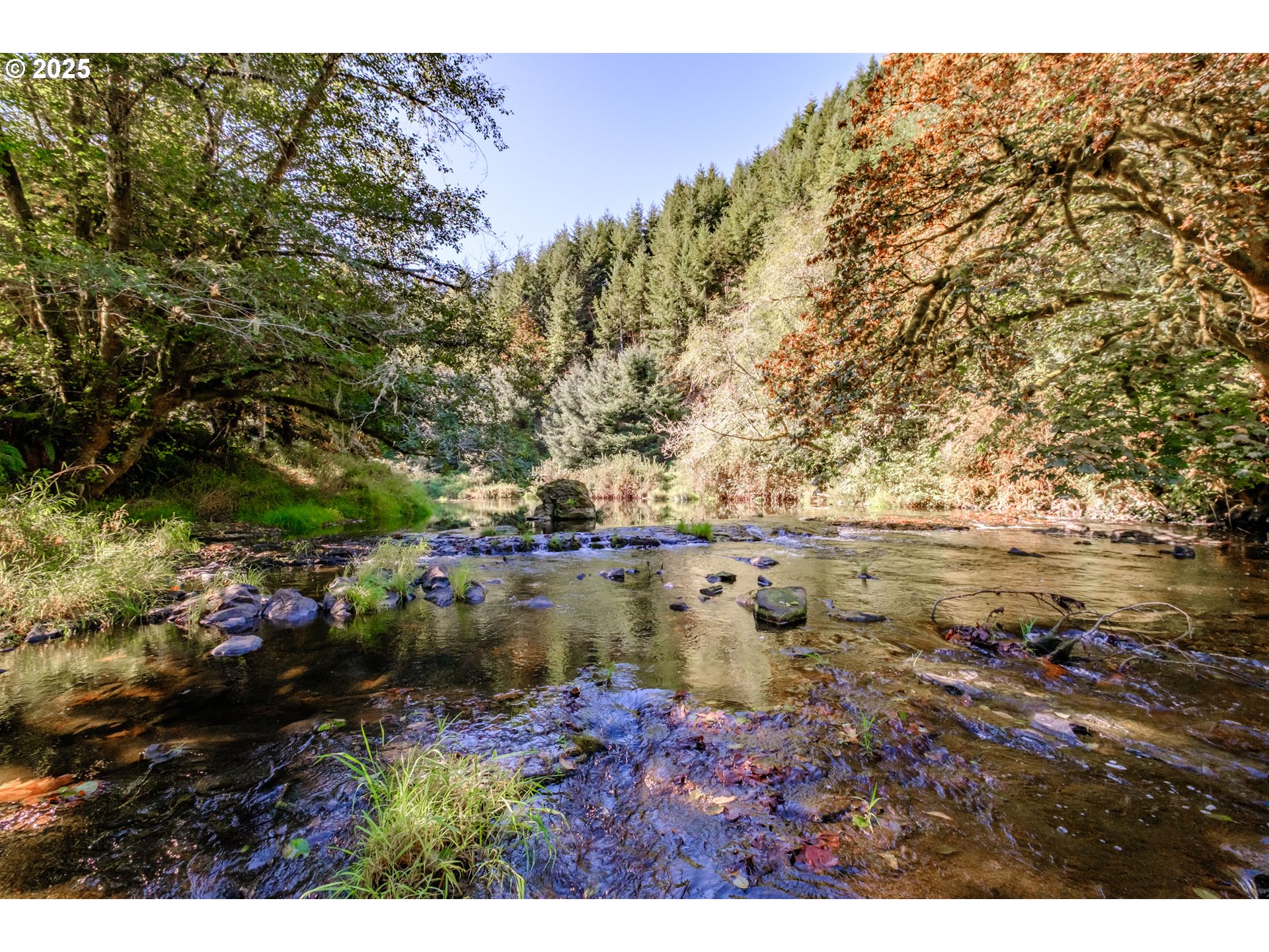 9602 Harlan Road Eddyville, OR 97343 - Photo 38 of 48 a view of outdoor space and yard