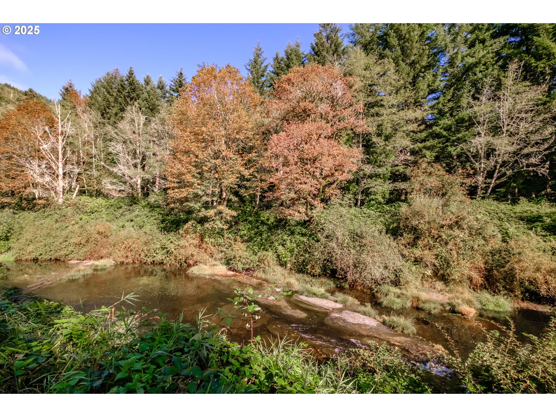 9602 Harlan Road Eddyville, OR 97343 - Photo 42 of 48 a view of a with large tree