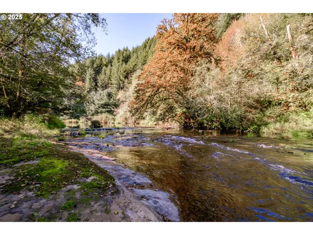 a view of a field with trees