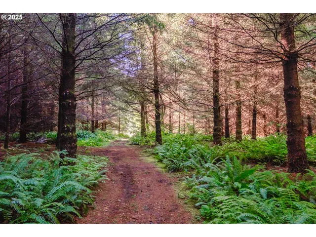 a view of backyard with green space