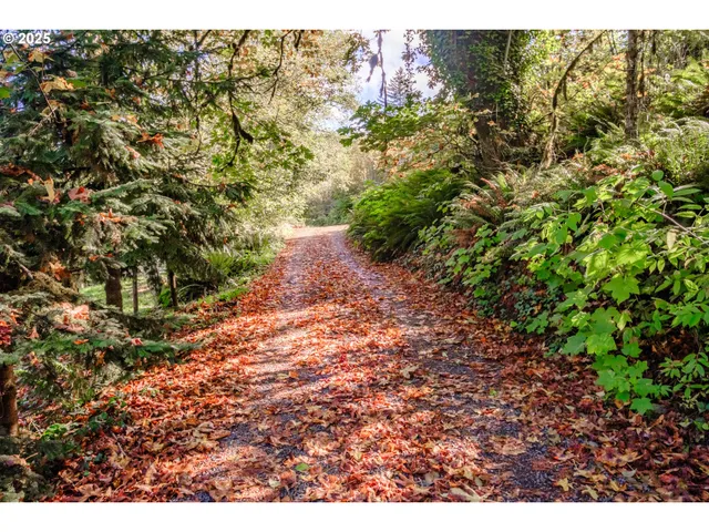 a view of a large yard with lots of green space