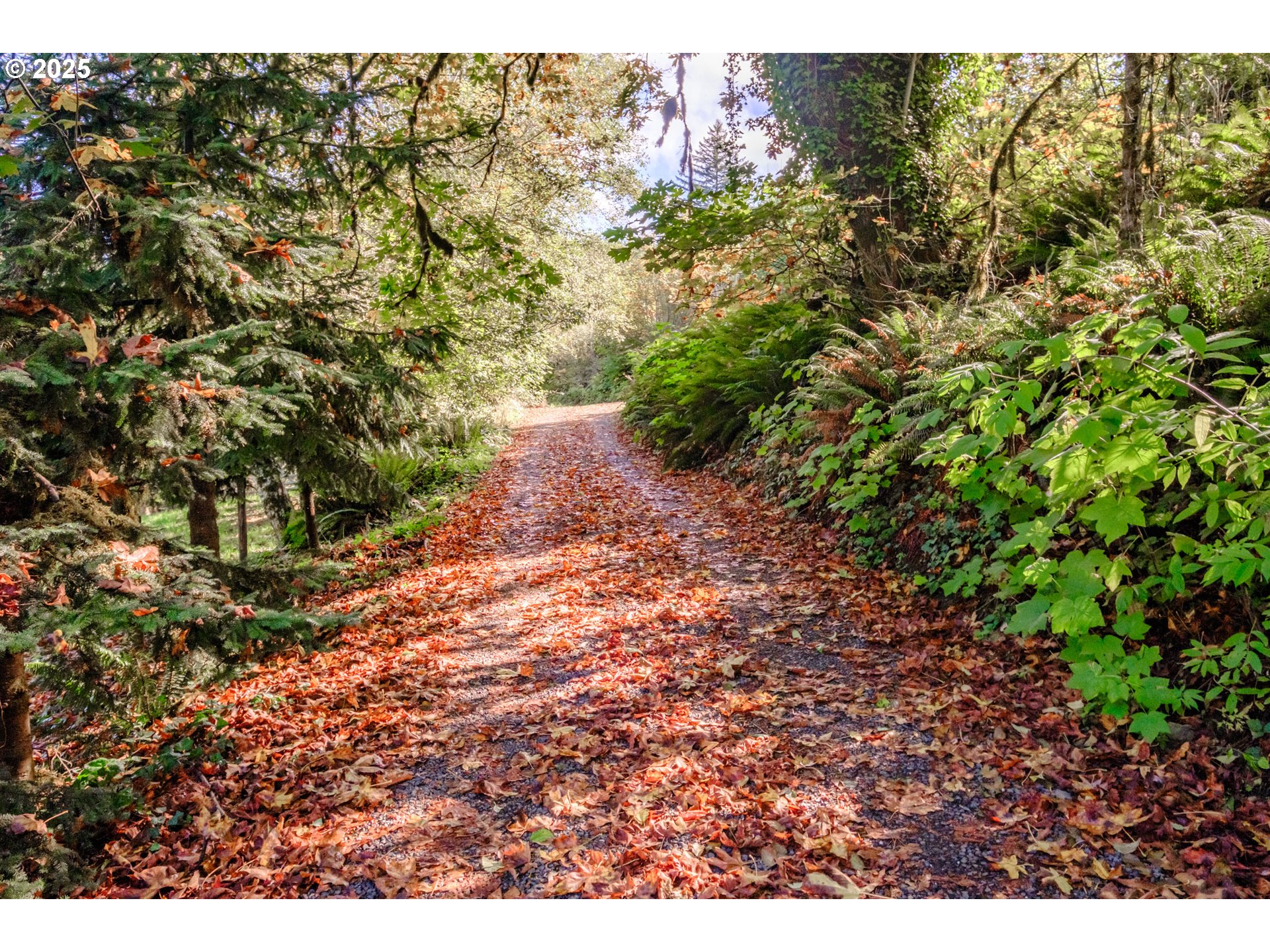 9602 Harlan Road Eddyville, OR 97343 - Photo 47 of 48 a view of a large yard with lots of green space