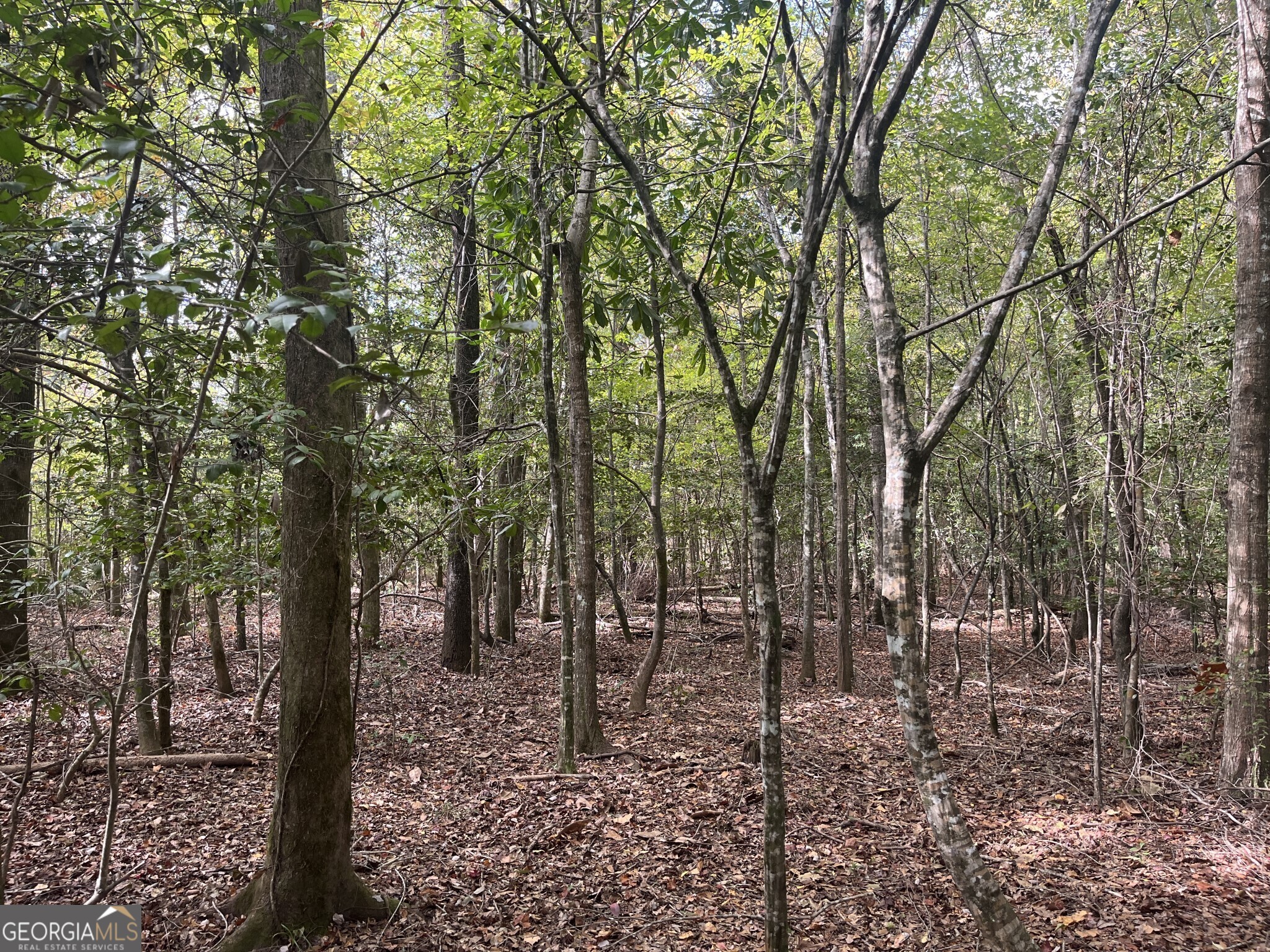 0 Club Road Toomsboro, GA 31090 - Photo 1 of 1 Gallery Image 1