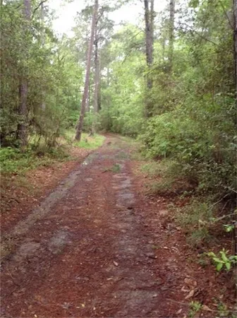 $910,800 | 1800 County Road, Goodrich, TX 77335
