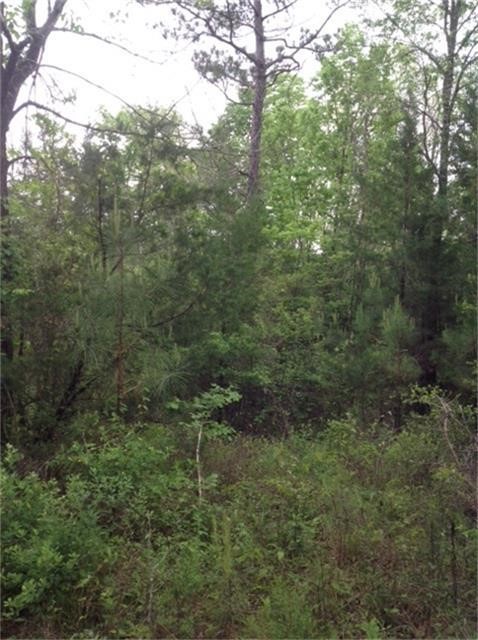 1800 County Road Goodrich, TX 77335 - Photo 2 of 8