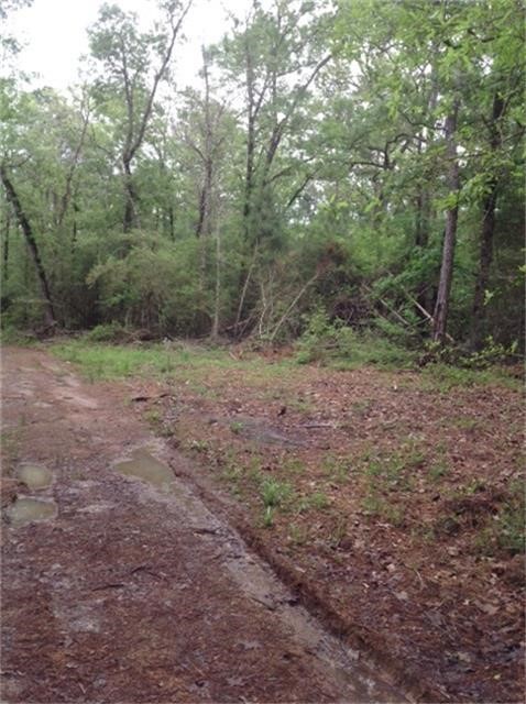 1800 County Road Goodrich, TX 77335 - Photo 4 of 8