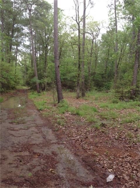 1800 County Road Goodrich, TX 77335 - Photo 5 of 8