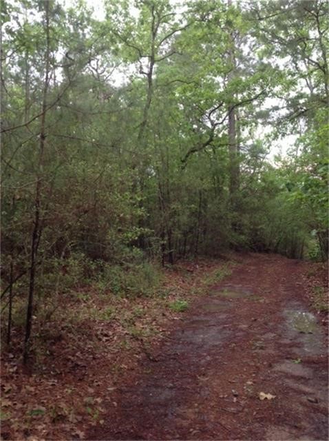 1800 County Road Goodrich, TX 77335 - Photo 7 of 8