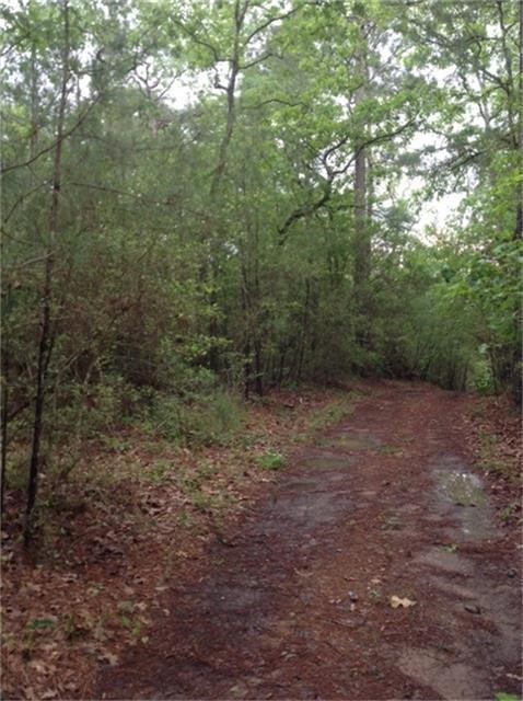 1800 County Road Goodrich, TX 77335 - Photo 8 of 8