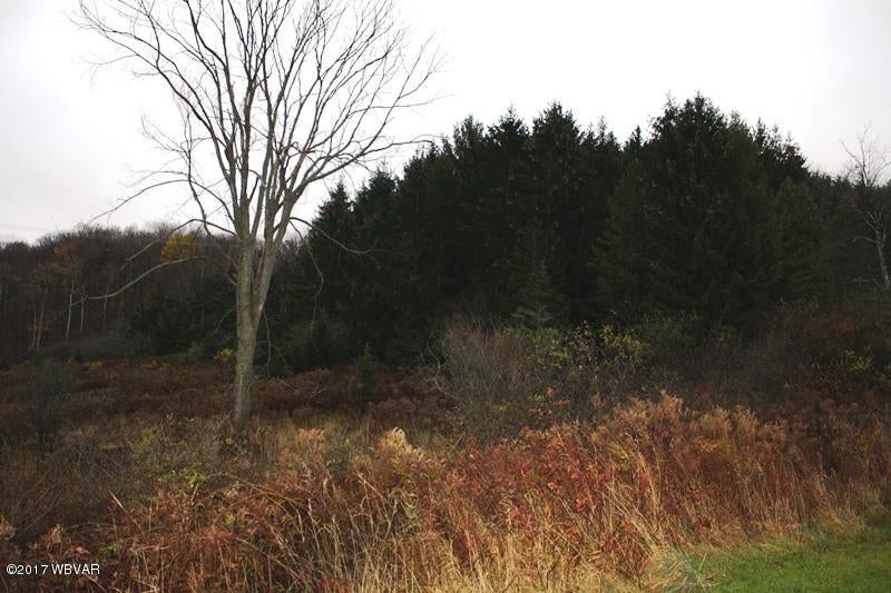 1672 State Road Middlebury Center, PA 16935 - Photo 39 of 44 40