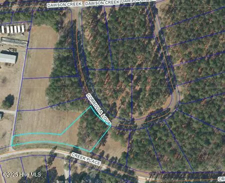 $13,000 | 179 Corolla Loop Road, Arapahoe, NC 28510