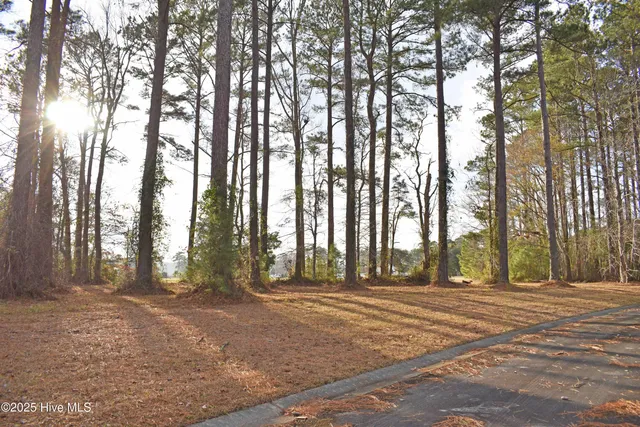 $13,000 | 179 Corolla Loop Road, Arapahoe, NC 28510