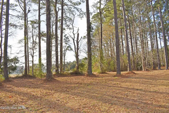 $13,000 | 179 Corolla Loop Road, Arapahoe, NC 28510