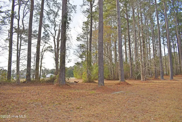 $13,000 | 179 Corolla Loop Road, Arapahoe, NC 28510