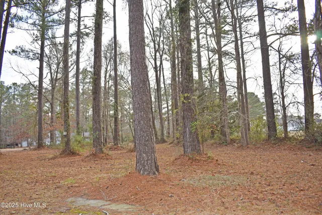 $13,000 | 179 Corolla Loop Road, Arapahoe, NC 28510