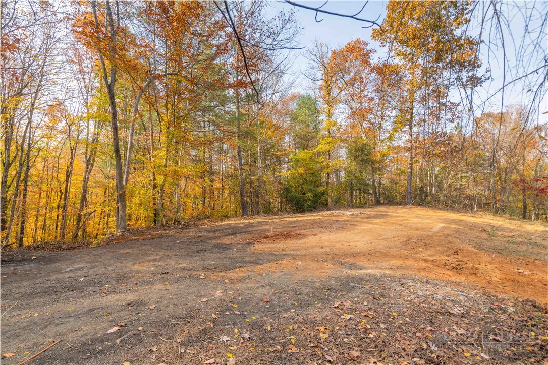1165 Dehart Community Center Road Hays, NC 28635 - Photo 10 of 11