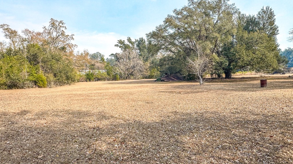 18799 Roy Golden Road Blountstown, FL 32424 - Photo 11 of 51