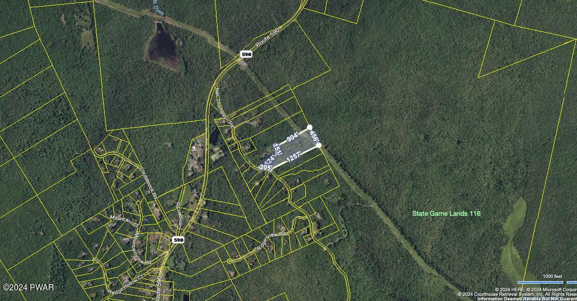 Neil Thompson Rd Road Lackawaxen, PA 18435 - Photo 10 of 11