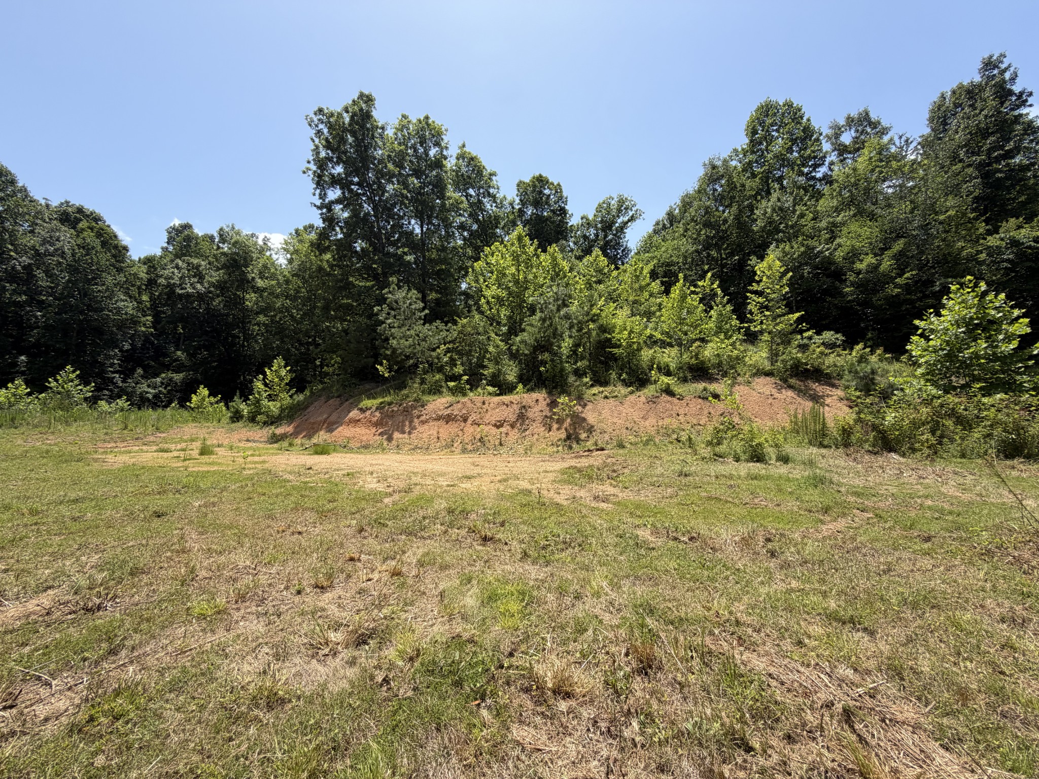 215 Bar Bee Road Hohenwald, TN 38462 - Photo 14 of 51