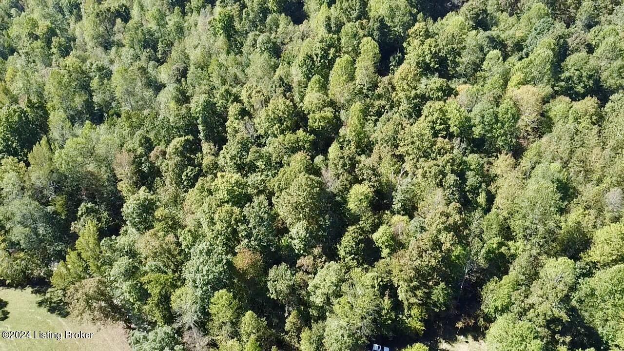 2346 Sulphur Lick Road New Hope, KY 40052 - Photo 23 of 35 2024-10-03-12-27-31-979