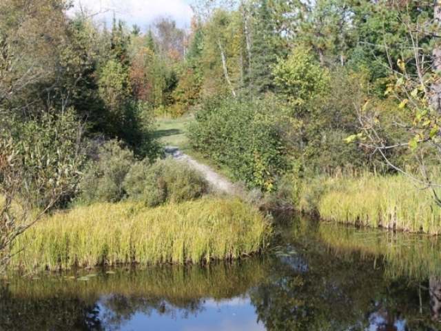 3-4 West Turtle Rpds Lane Mercer, WI 54547 - Photo 11 of 11 Gallery Image 11