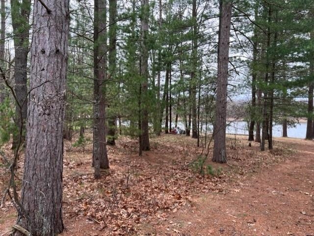 4281 Bass Lake Road Hale, MI 48739 - Photo 6 of 14 1910072-5.JPG