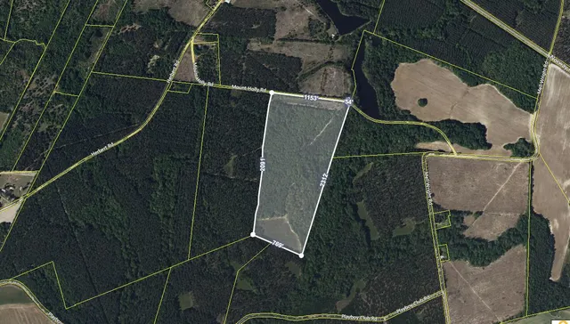 $300,000 | 0 Mt Holly Road, Neeses, SC 29107