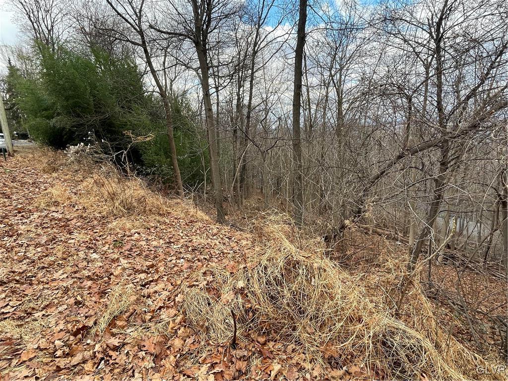 Paxinosa Rd Forks East Easton, PA 18040 - Photo 11 of 14
