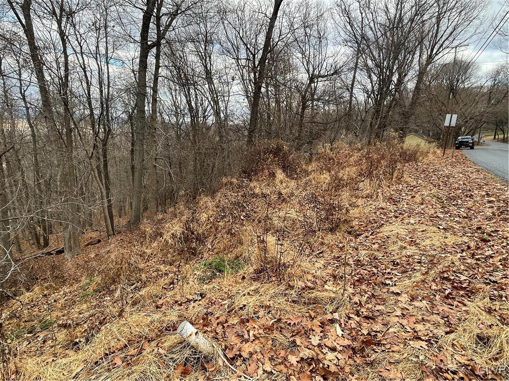 Paxinosa Rd Forks East Easton, PA 18040 - Photo 12 of 14