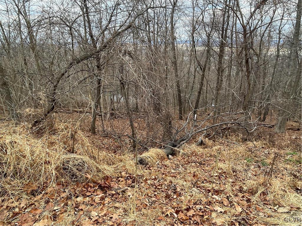 Paxinosa Rd Forks East Easton, PA 18040 - Photo 10 of 14