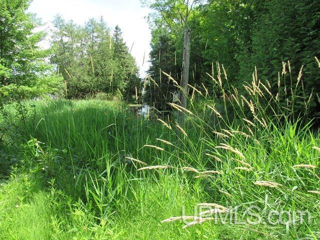 19110 West Diller Road Germfask, MI 49836 - Photo 7 of 28