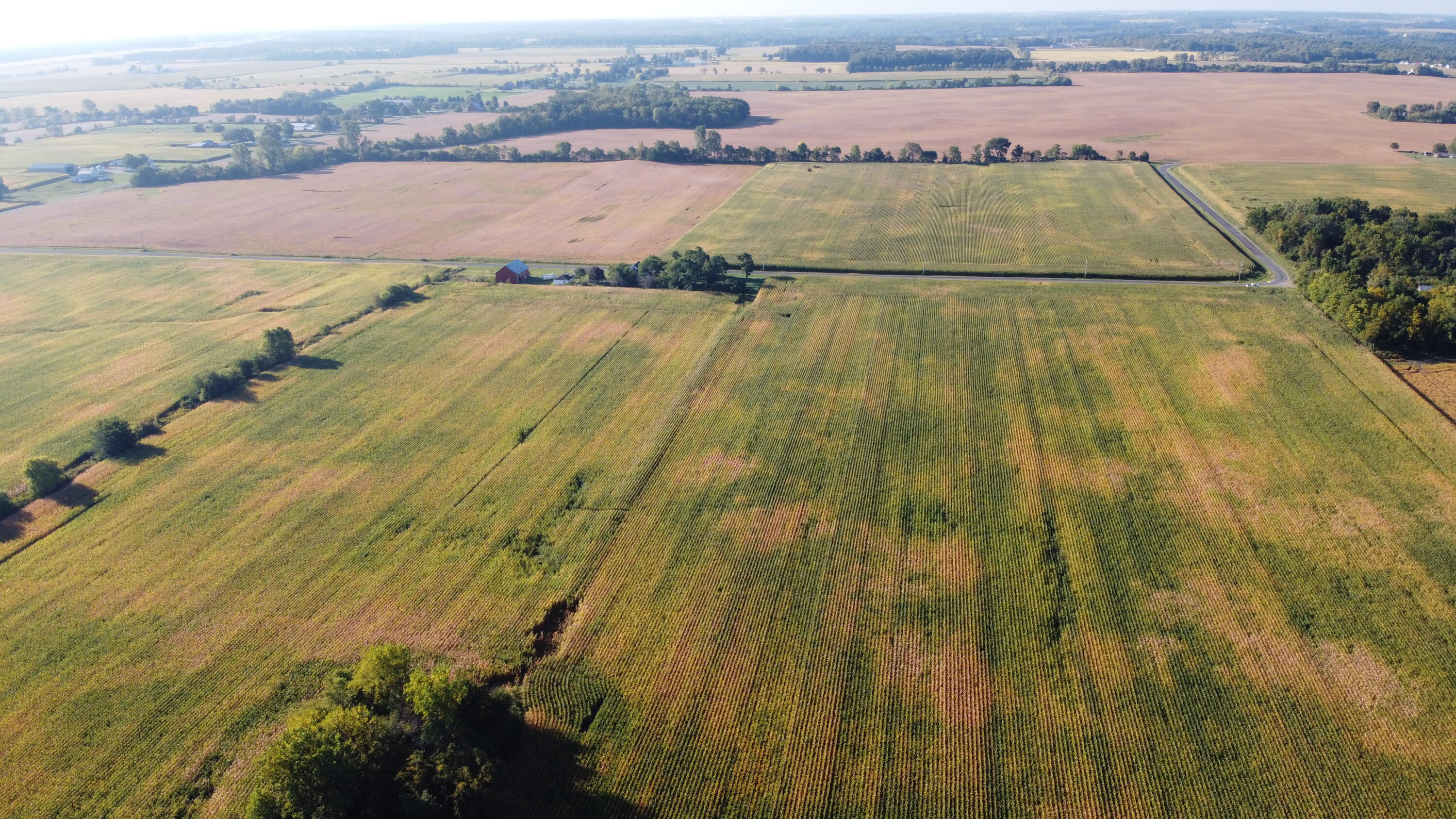 0 Snapp Road De Graff, OH 43318 - Photo 19 of 32