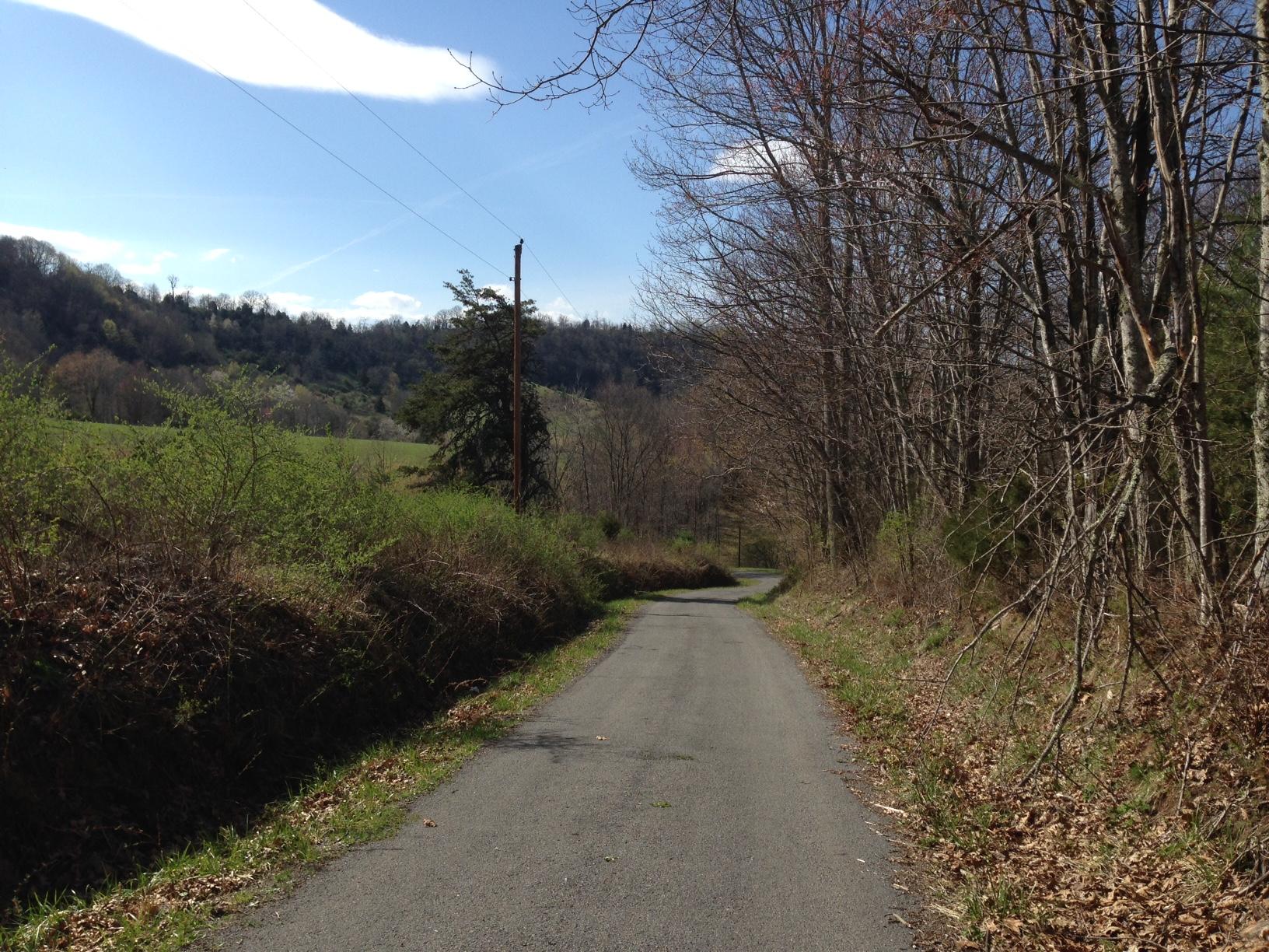 Dillon Road Forest Hill, WV 24935 - Photo 91 of 93 Gallery Image 91