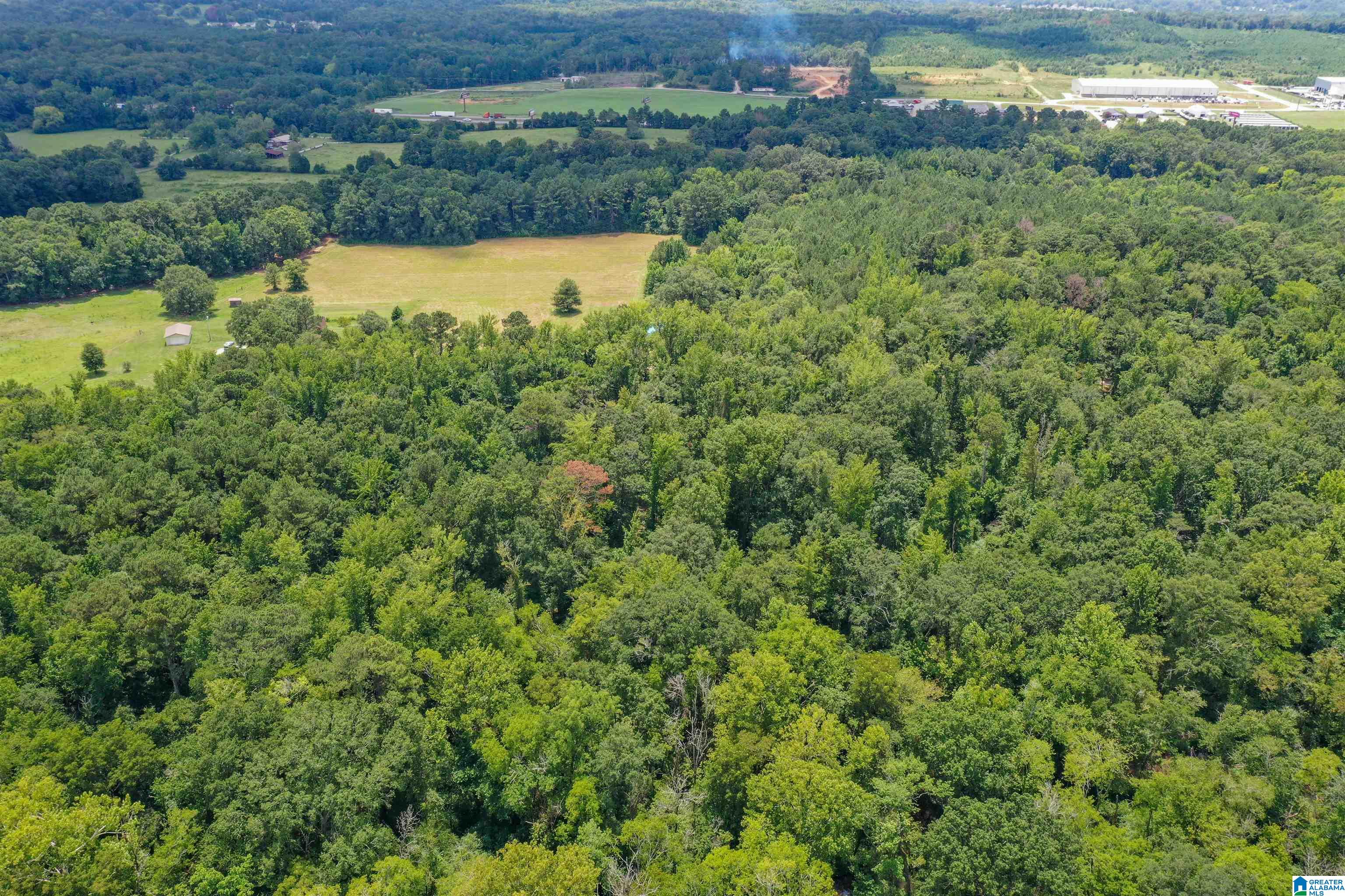 1675 Blue Eye Springs Road Lincoln, AL 35096 - Photo 49 of 60