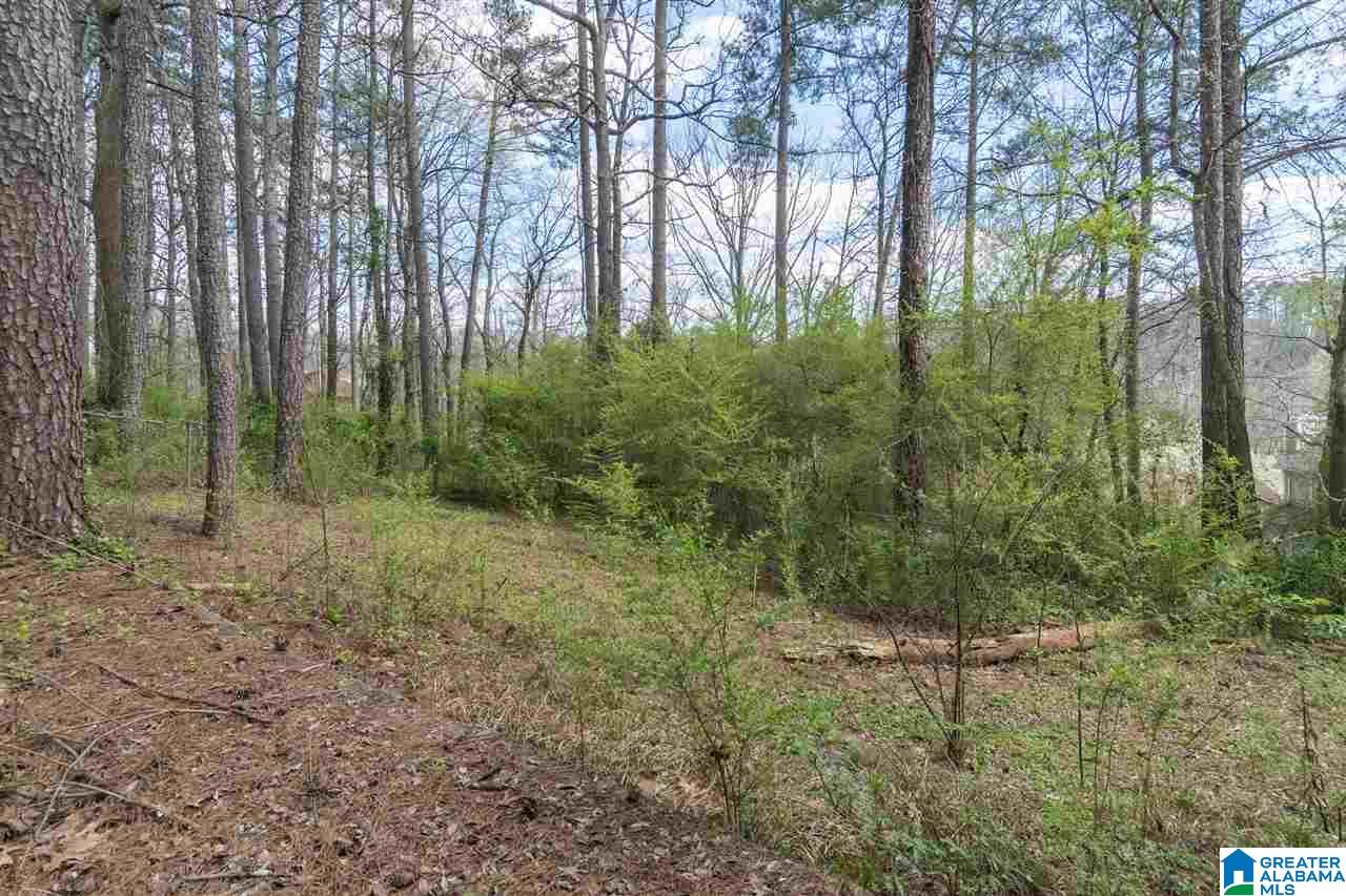 5315 Dixieland Road Birmingham, AL 35210 - Photo 33 of 34