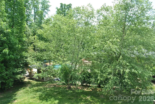 a view of a lush green forest