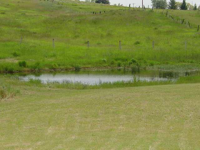 12404 East Connor Road Valleyford, WA 99036 - Photo 9 of 9