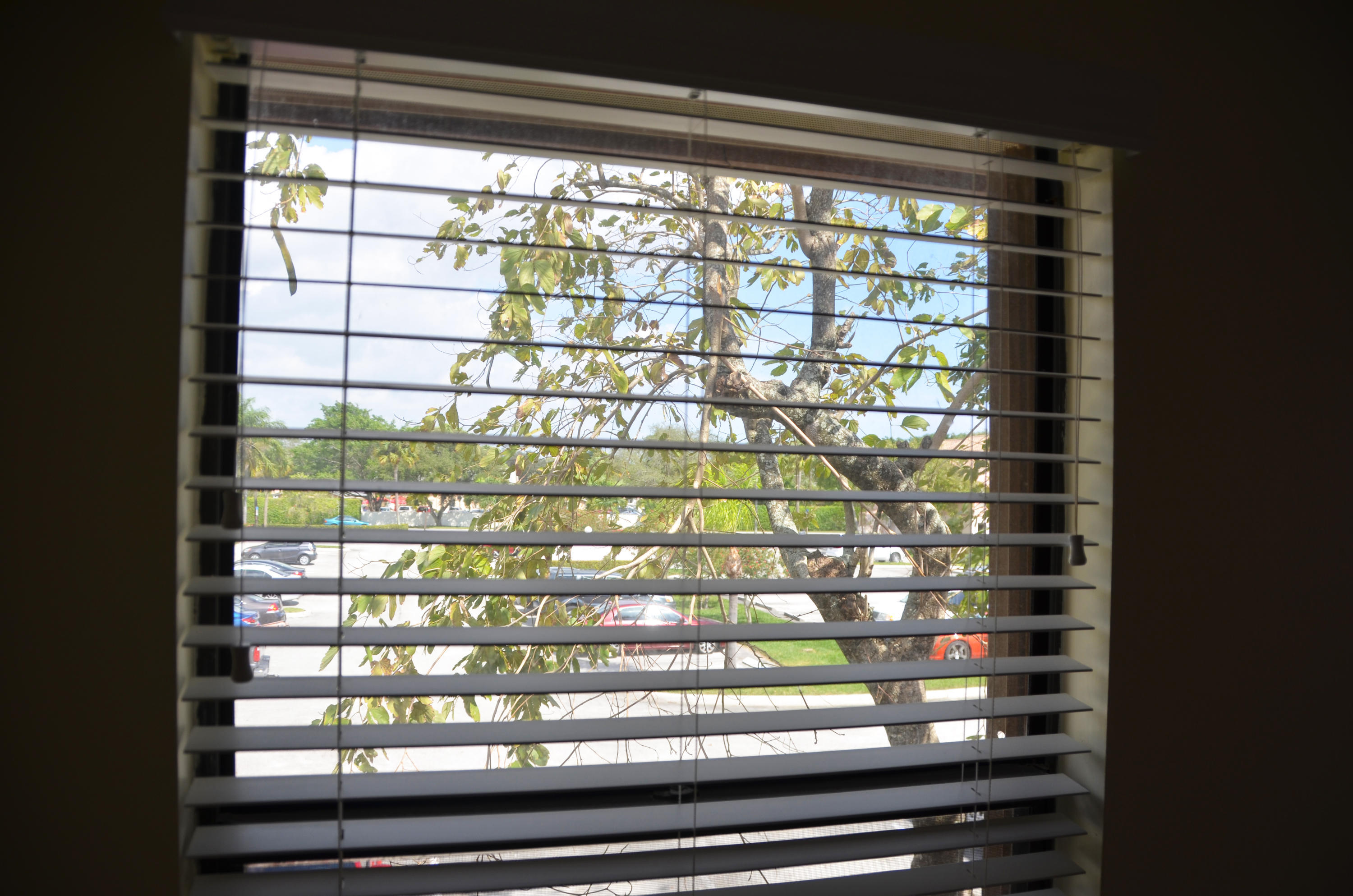 3355 Jaywood Terrace, Unit 2140 Boca Raton, FL 33431 - Photo 39 of 50 P-DSC_6280