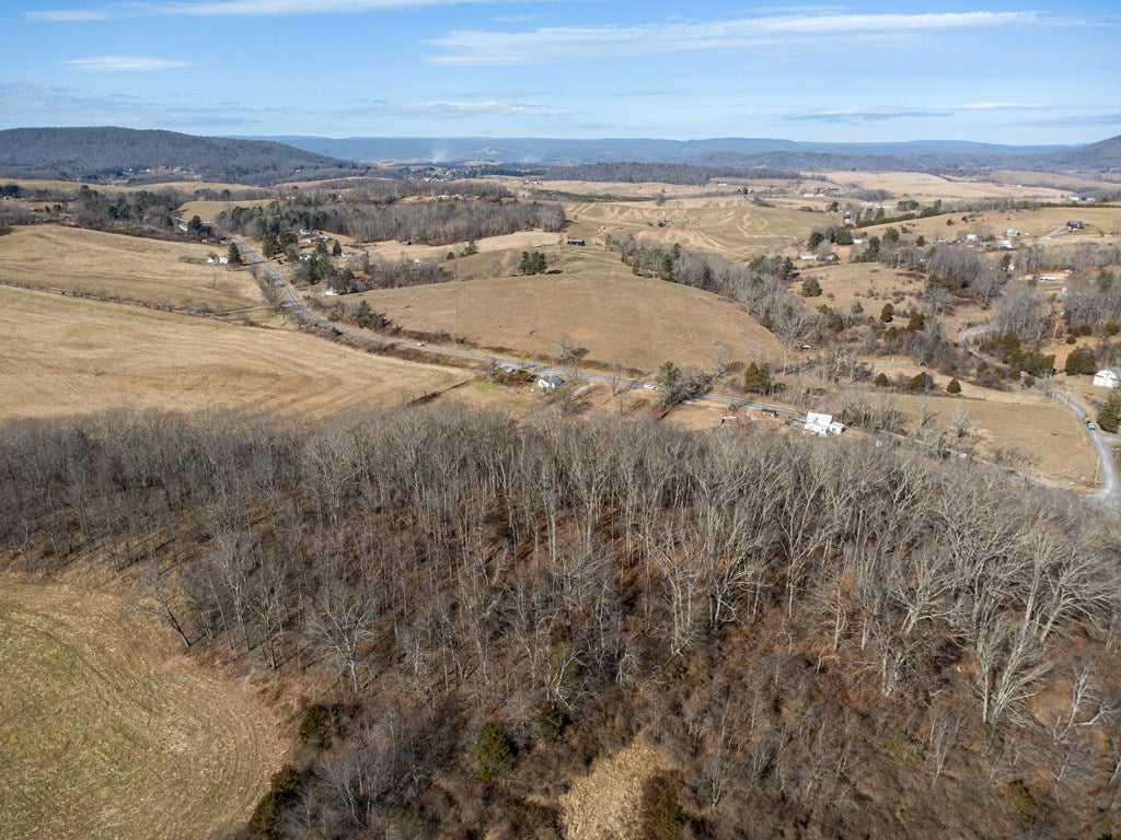 Tbd Fort Chiswell Road Max Meadows, VA 24360 - Photo 12 of 44 Gallery Image 12