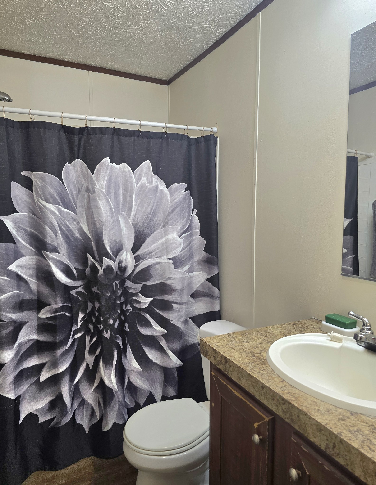 502 Case Road Prospect, TN 38477 - Photo 18 of 20 a bathroom with a granite countertop sink and a toilet
