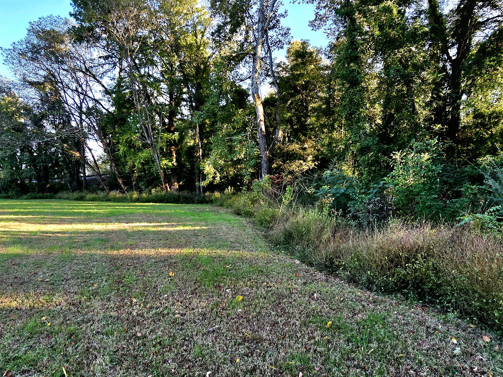 502 Case Road Prospect, TN 38477 - Photo 20 of 20 a view of a park