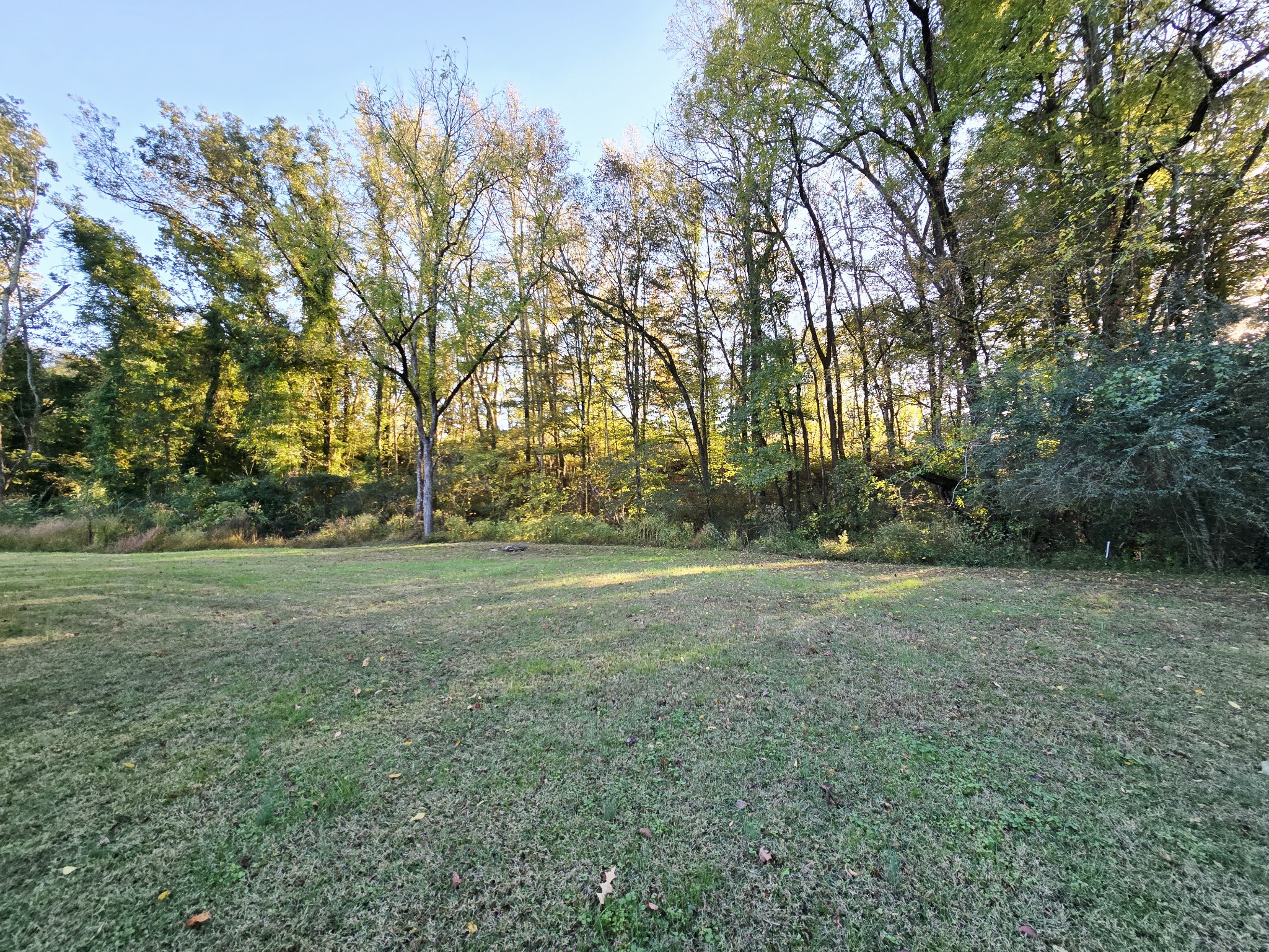 502 Case Road Prospect, TN 38477 - Photo 8 of 20 a view of outdoor space with trees